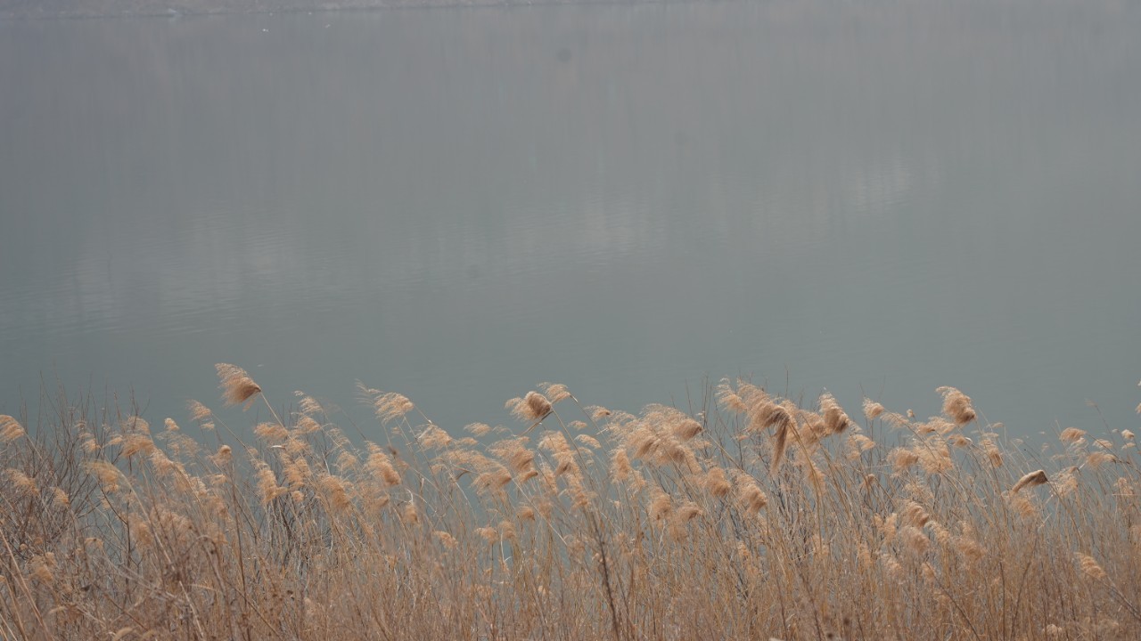 c25c72c4f6c534eb961d318f137a5ada_1740016183_6748.jpg