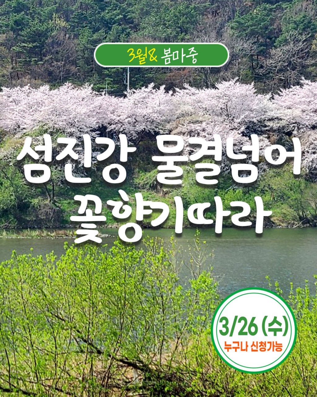 ddff973dd661ada4fa38ed5450ff93fe_1742176014_3701.jpg