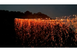 안동 선유줄불놀이