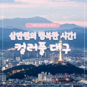 [10월31일] 살랑살랑 특가투어 - 대구