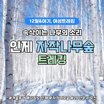 [12월&여기] 인제 자작나무숲 트레킹 12월26일