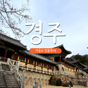 [겨울& 인문투어] 경주 2월 4일(화)