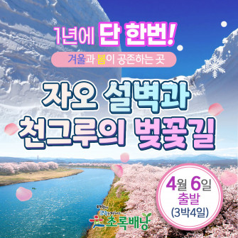 1년에 단 한번! 겨울과 봄이 공존하는 곳 자오 설벽과 천그루의 벚꽃길 (4월 6일~9일 / 3박4일)
