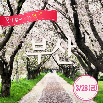 [봄&] 부산 3월 28일(금)