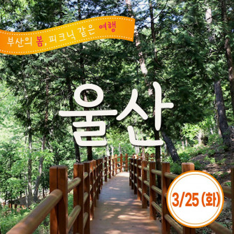 [봄&] 울산 3월 25일(화)