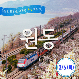 [봄&] 원동 3월 6일(목)