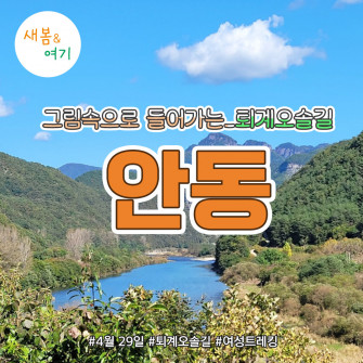 [새봄&여기] 안동 4월 29일(화)