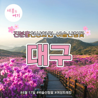 [새봄&여기] 대구 비슬산 4월 17일(목)