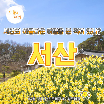 [새봄&여기] 서산 4월 8일(화)
