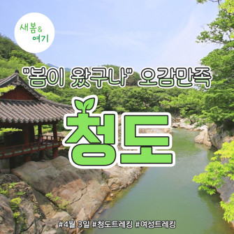 [새봄&여기] 청도 4월 3일(목)