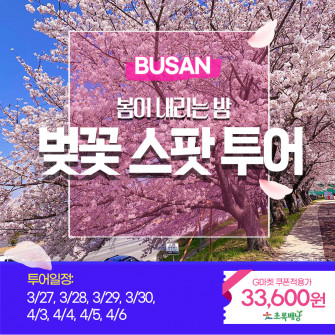 부산 벚꽃 스팟투어