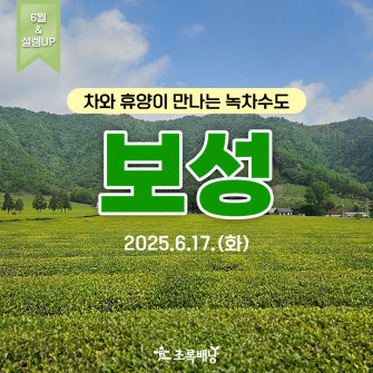 [6월&설렘UP] 차와 휴양이 만나는 녹차수도 보성 6월 17(화)