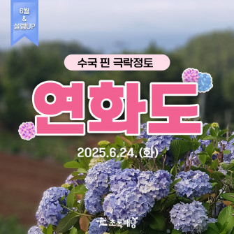[6월&설렘UP] 수국 핀 극락정토 연화도 6월 24(화)