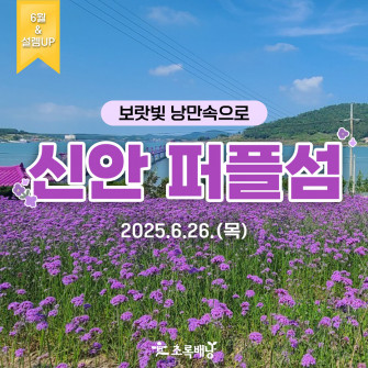 [6월&설렘UP] 보랏빛 낭만속으로 신안 퍼플섬 6월 26(목)