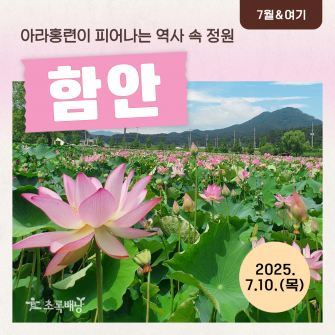 [7월&여기] 아라홍련이 피어나는 역사속 정원 함안 7월 10일(목)