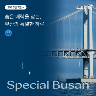 부산의 특별한 하루