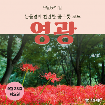 [9월&이길] 꽃무릇 로드 '영광' 9월 23일 (화)