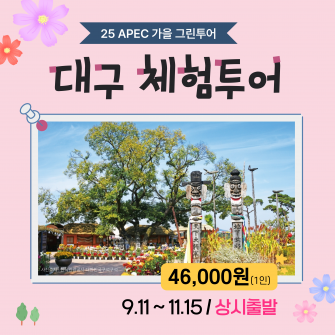 [25 APEC 가을 그린투어] 대구 체험 여행