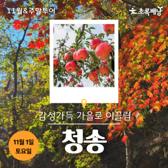 [11월&주말투어] 청송 11월 1일 (토)