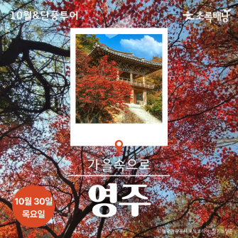 [10월&단풍투어] 가을속으로 영주 10월 30일 (목)