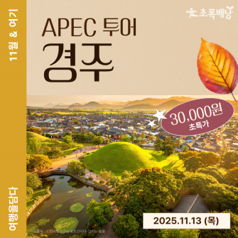 [11월&여기] APEC 경주 투어 / 11.13(목)