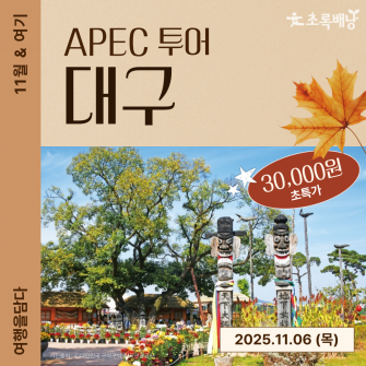 [11월&여기] APEC 대구 투어 / 11.06(목)