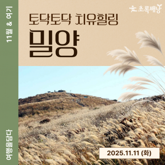 [11월&여기] 치유힐링 밀양 / 11월 11일 (화)