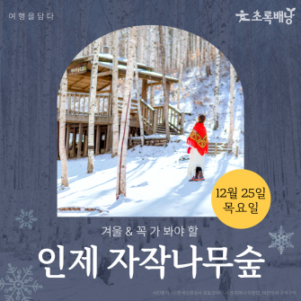 인제 자작나무숲 / 12월 25일 (목)