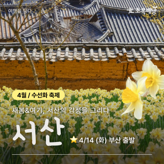 [4월 축제투어] 서산 수선화축제 / 4월 14일 (화)